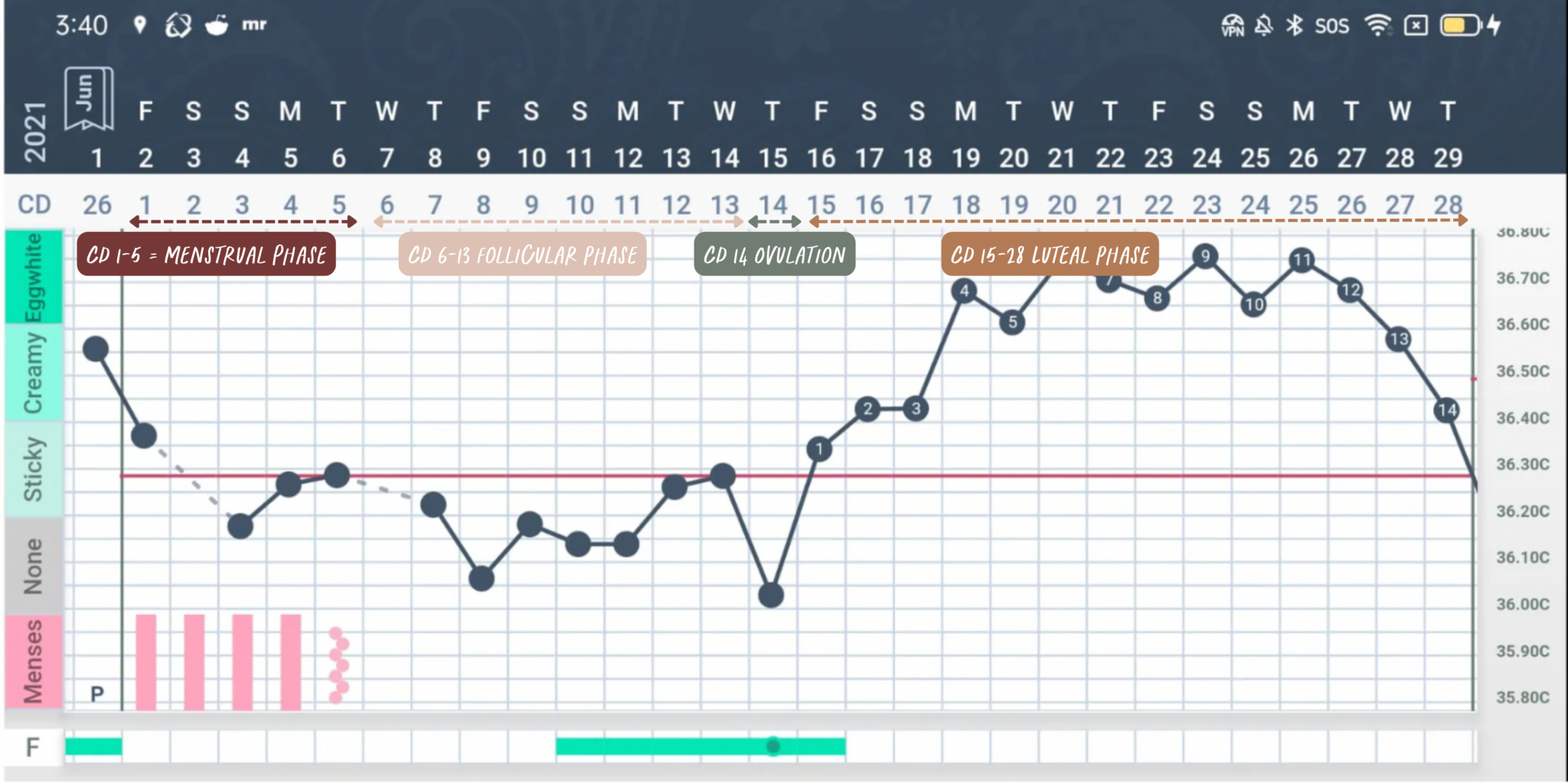 How I Manage My Blood Sugar During My Luteal Phase